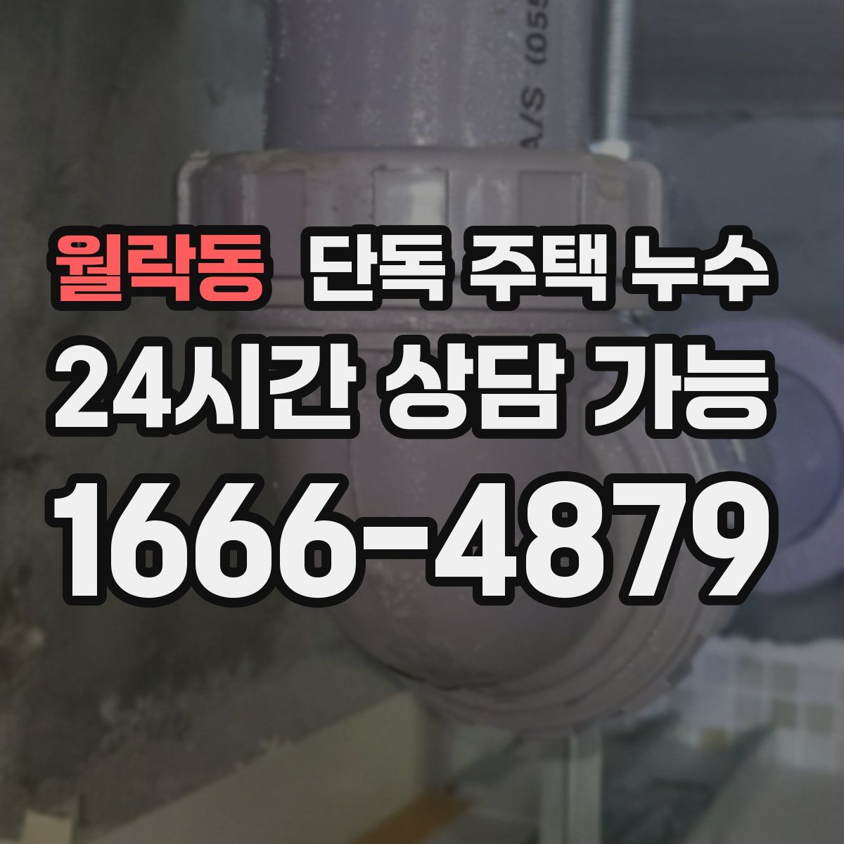 월락동 단독 주택 누수