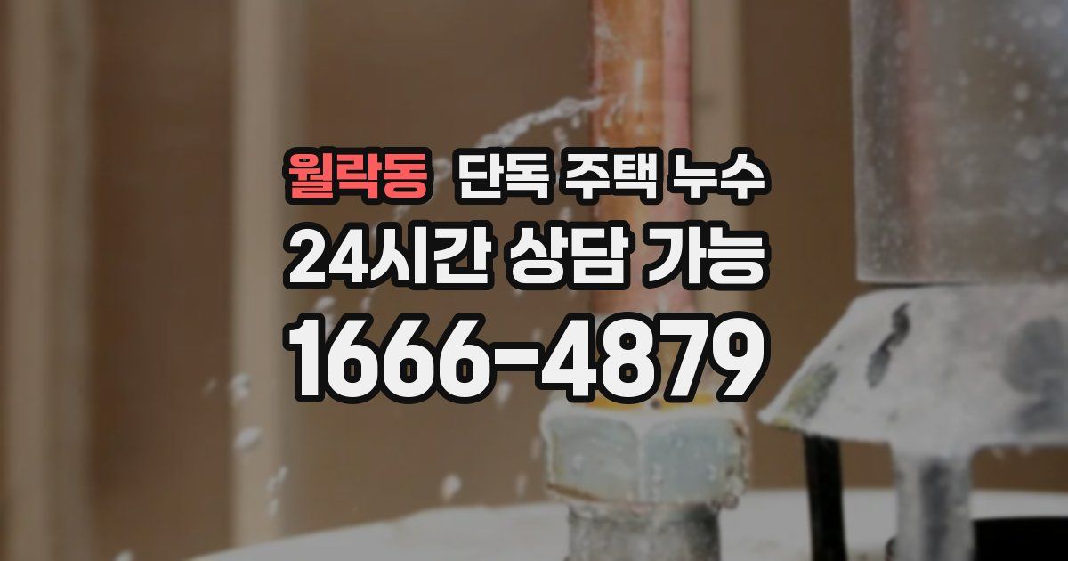 월락동 단독 주택 누수