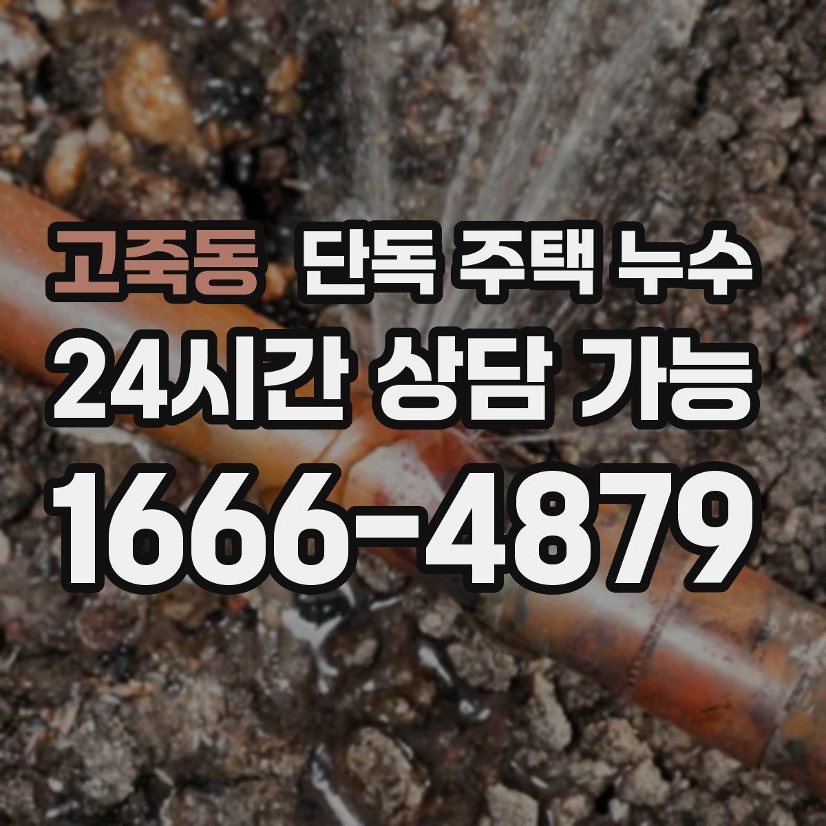 고죽동 단독 주택 누수 장판 아래 곰팡이 생겼다면 무엇을 의심할까