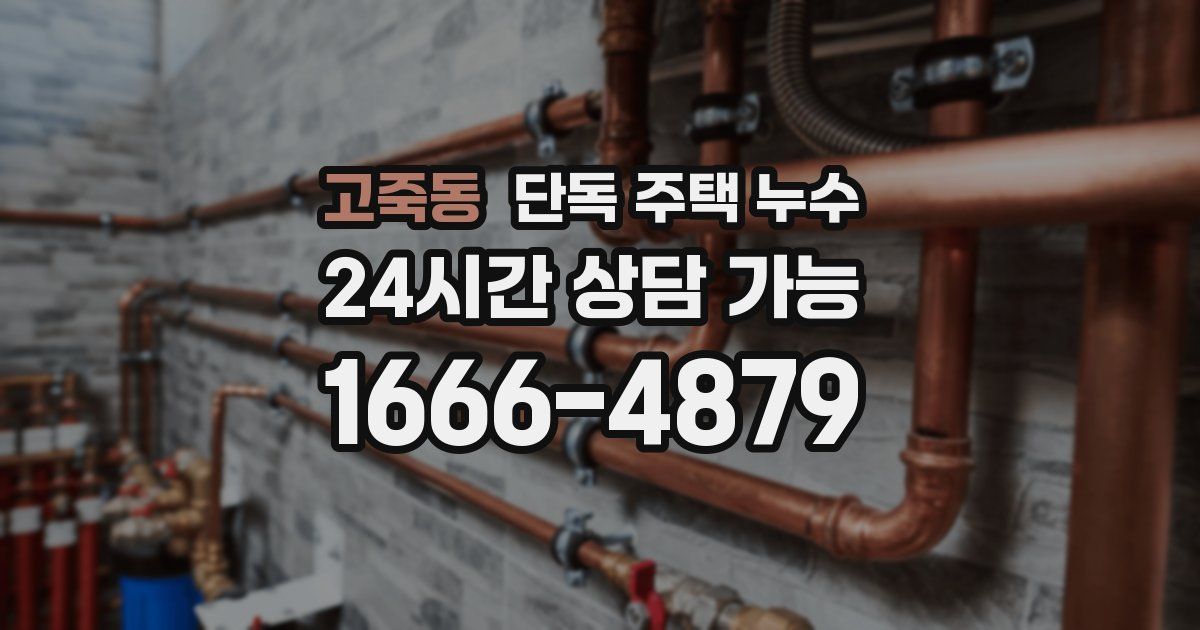 고죽동 단독 주택 누수