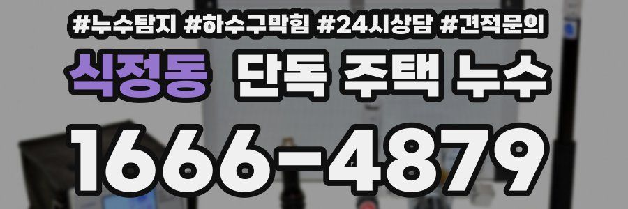 식정동 단독 주택 누수