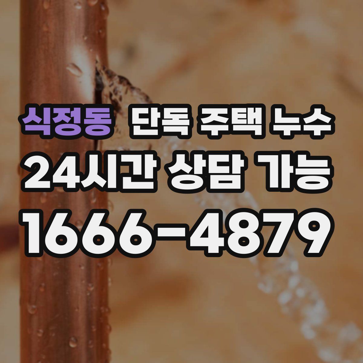 식정동 단독 주택 누수