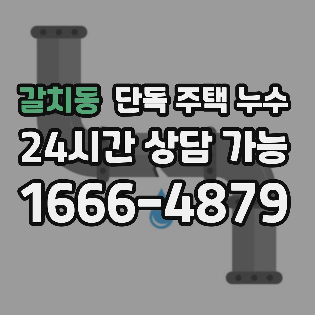 갈치동 단독 주택 누수 세탁실 배수 주변이 축축할 때