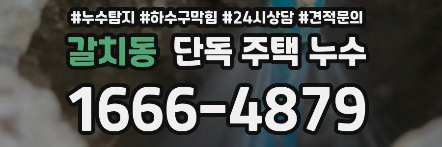 갈치동 단독 주택 누수