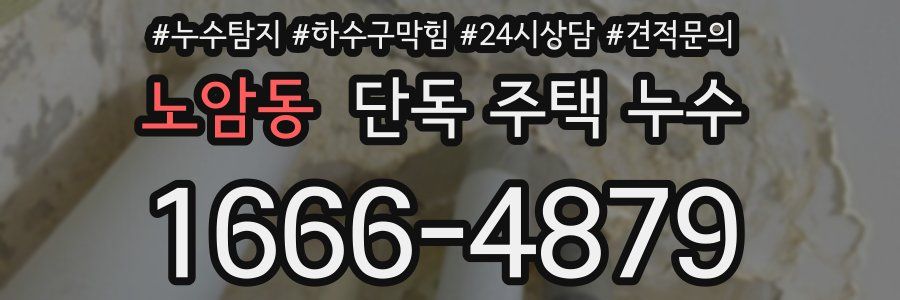 노암동 단독 주택 누수