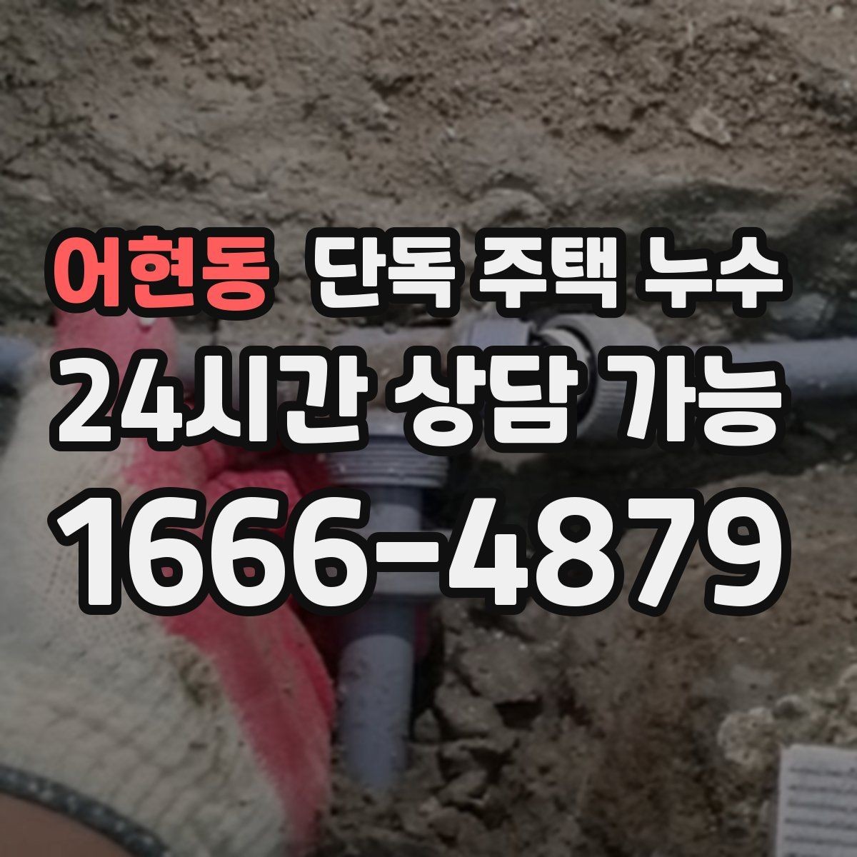 어현동 단독 주택 누수 벽지 속에서 젖은 냄새가 날 때