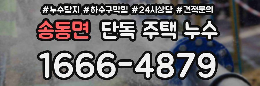 송동면 단독 주택 누수