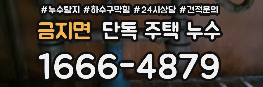 금지면 단독 주택 누수