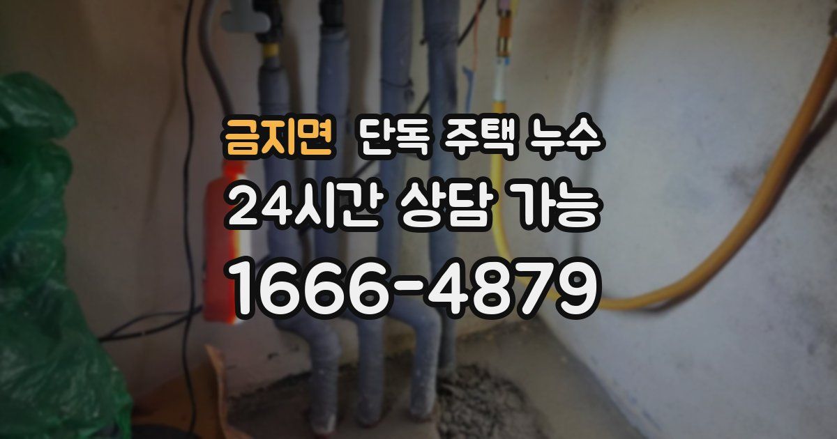 금지면 단독 주택 누수