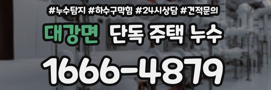 대강면 단독 주택 누수