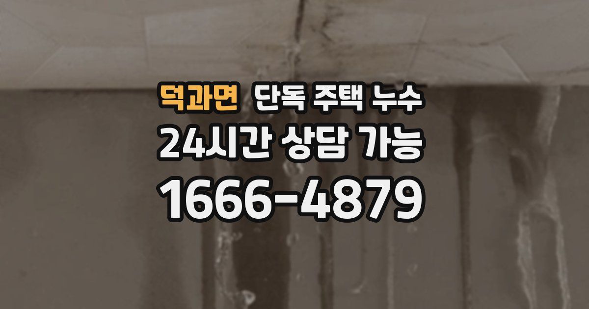 덕과면 단독 주택 누수