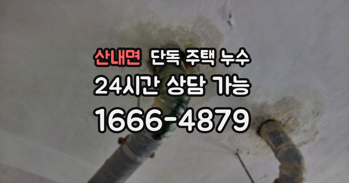 산내면 단독 주택 누수