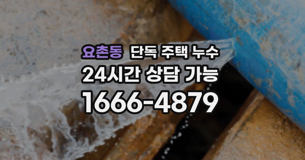 요촌동 단독 주택 누수