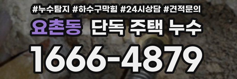 요촌동 단독 주택 누수