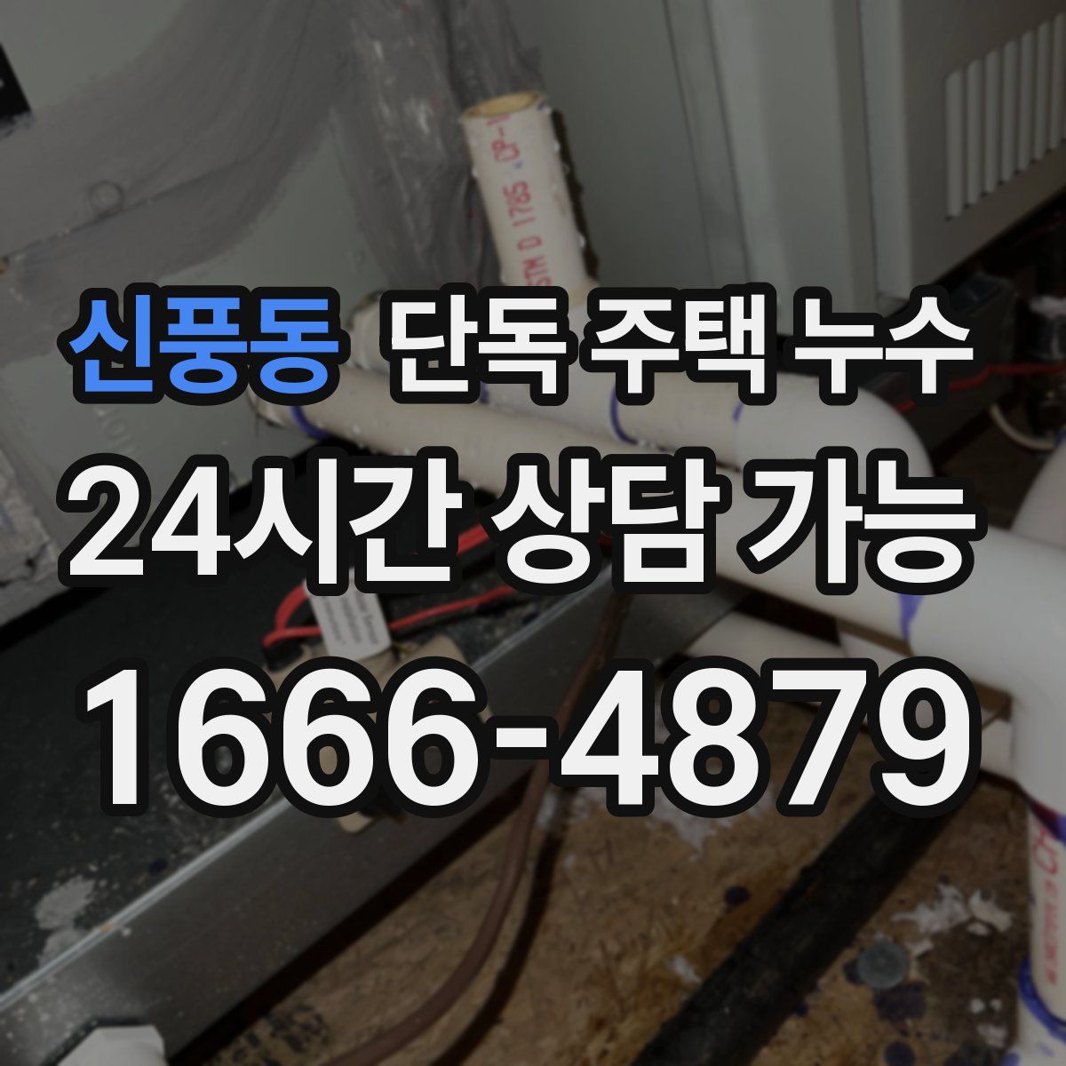 신풍동 단독 주택 누수