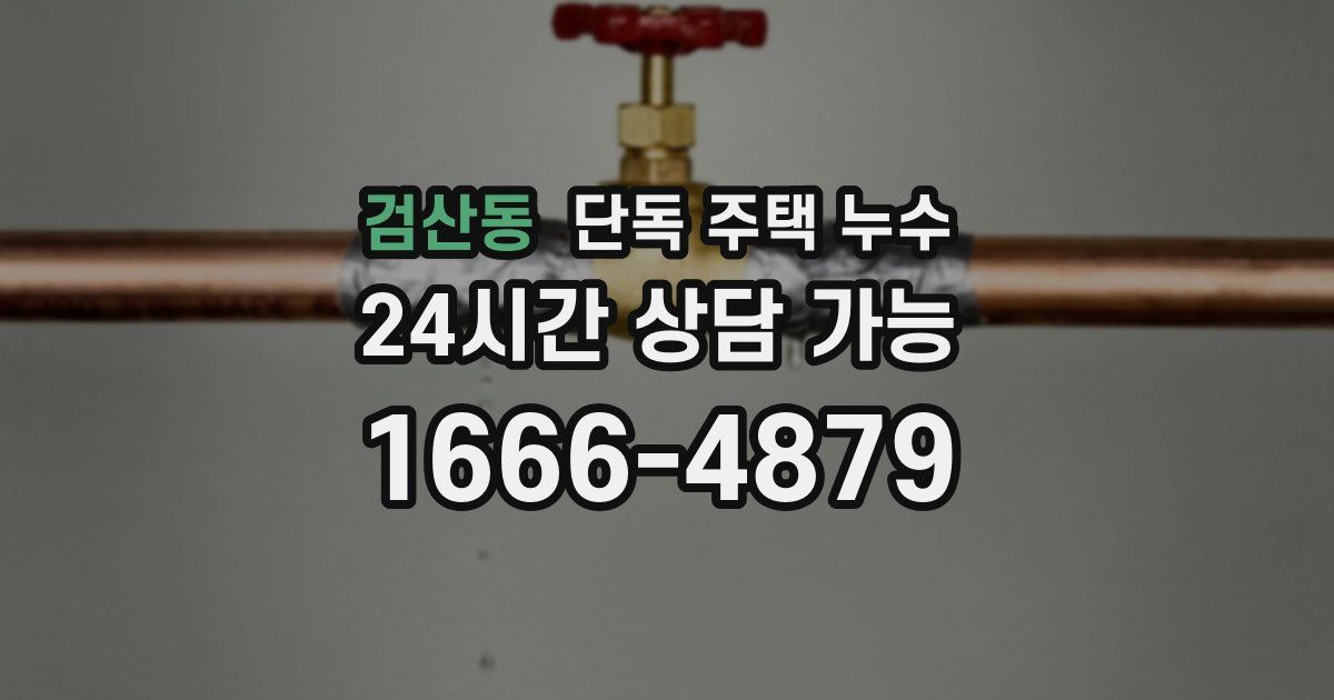 검산동 단독 주택 누수