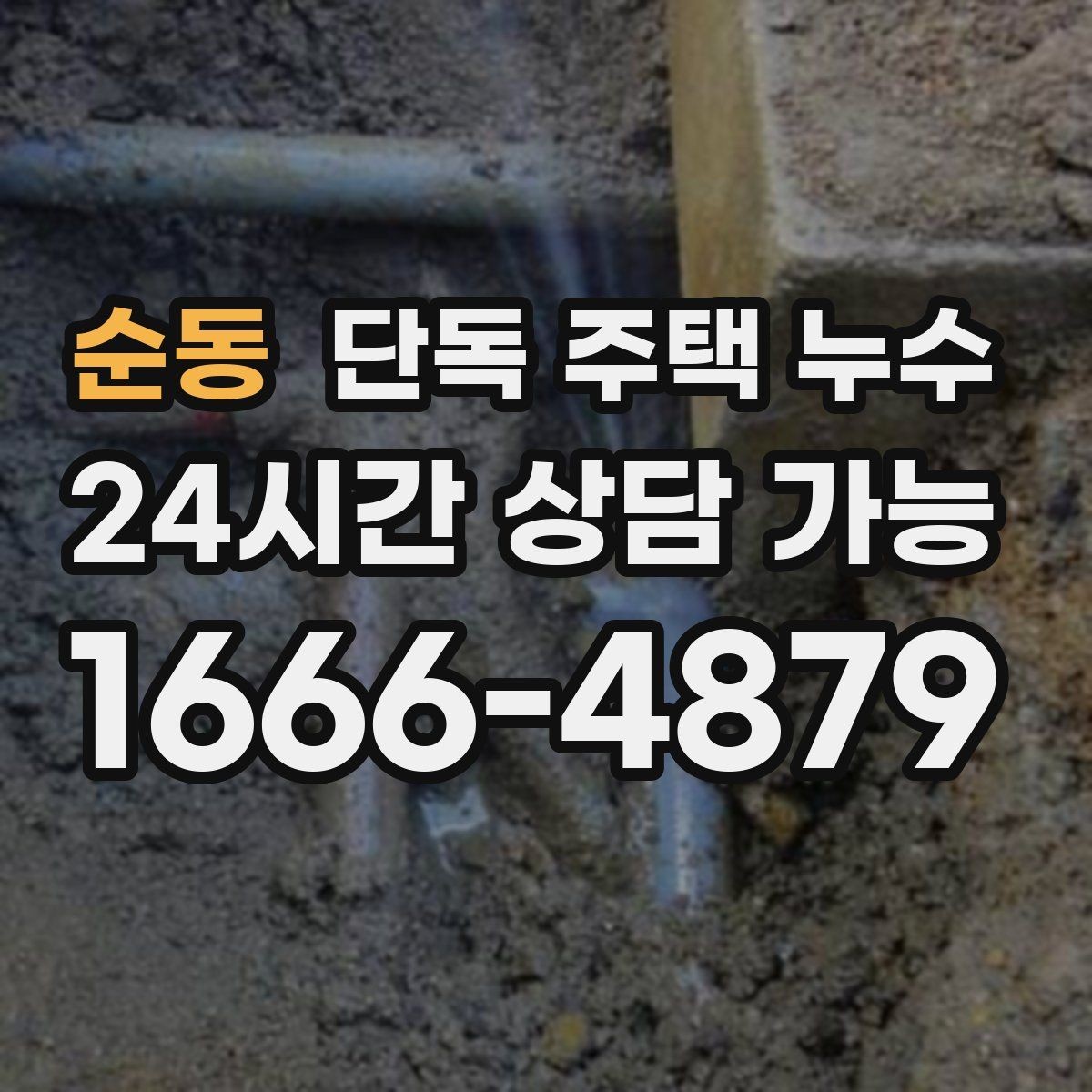 순동 단독 주택 누수 욕실 문턱 주변 물이 고일 때