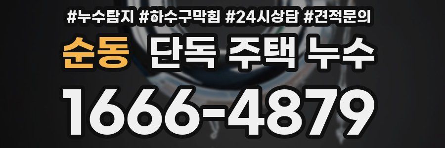 순동 단독 주택 누수