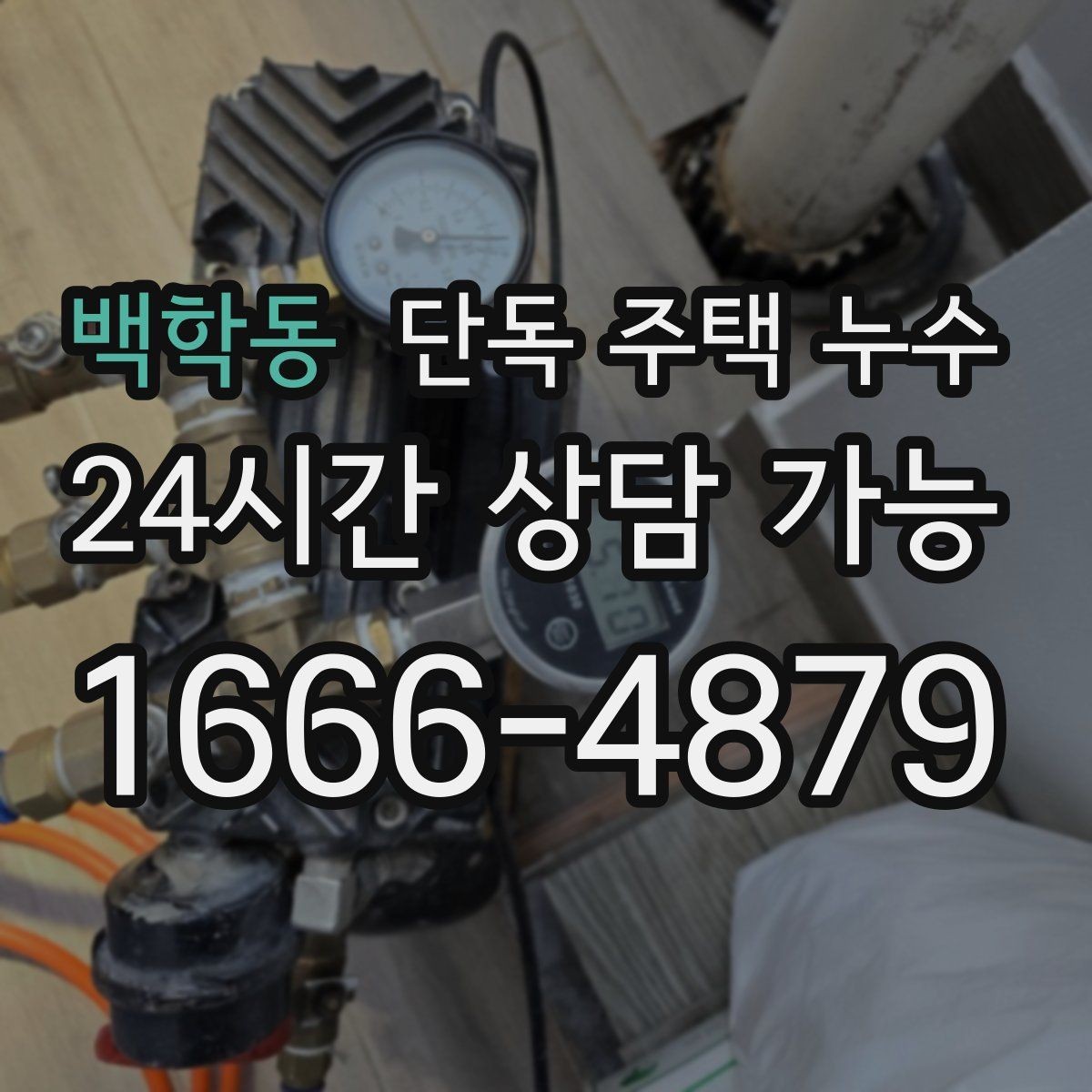 백학동 단독 주택 누수 장판 아래 물이 차오르는 느낌일 때