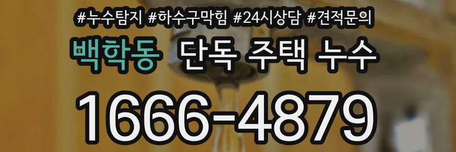 백학동 단독 주택 누수