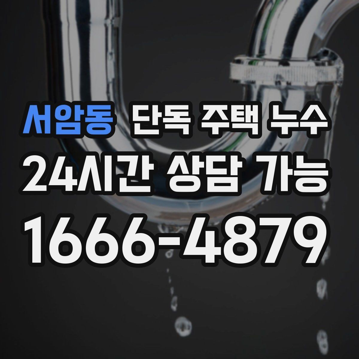 서암동 단독 주택 누수 세탁실 배수구 주변이 축축할 때
