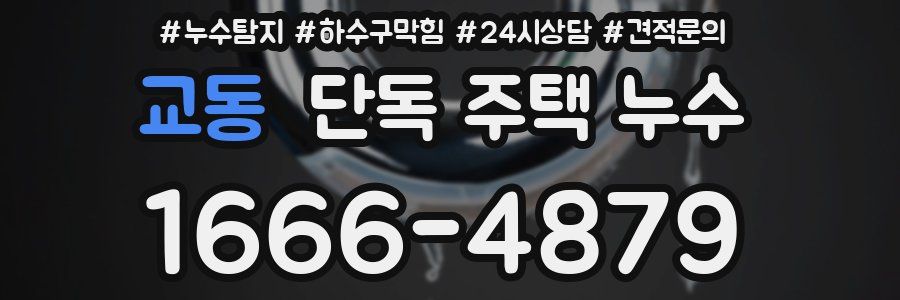 교동 단독 주택 누수