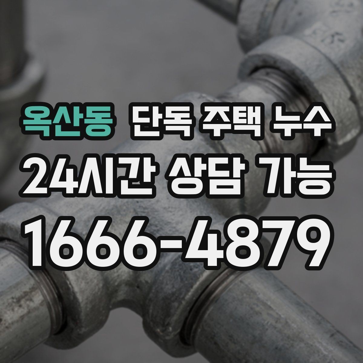 옥산동 단독 주택 누수 실내 모서리 곰팡이가 띠처럼 생길 때