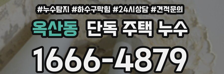 옥산동 단독 주택 누수