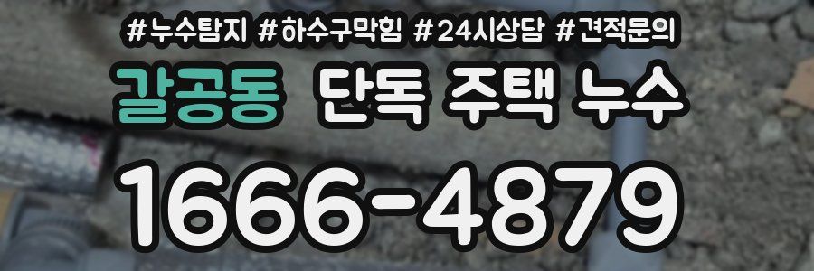 갈공동 단독 주택 누수