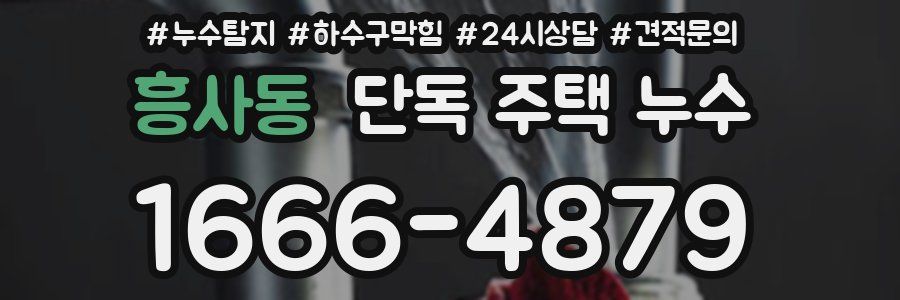 흥사동 단독 주택 누수