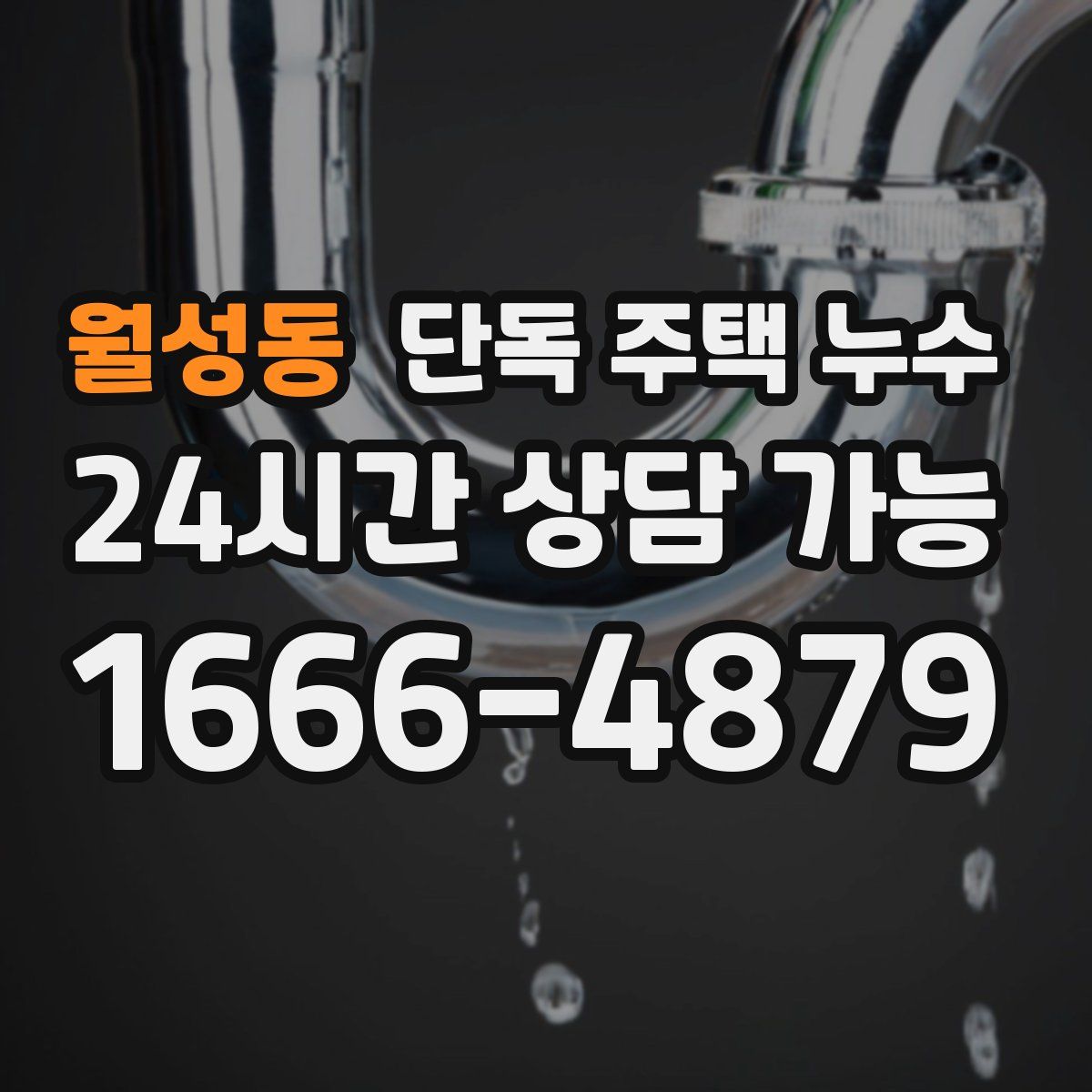 월성동 단독 주택 누수