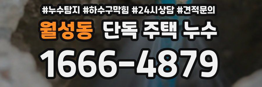 월성동 단독 주택 누수