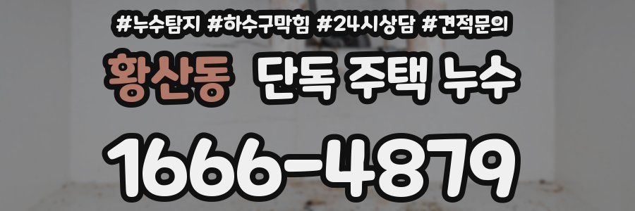 황산동 단독 주택 누수