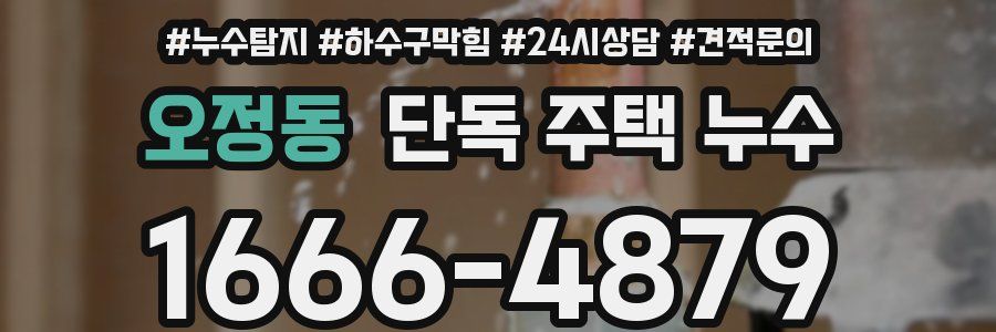 오정동 단독 주택 누수