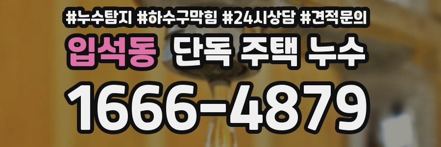 입석동 단독 주택 누수