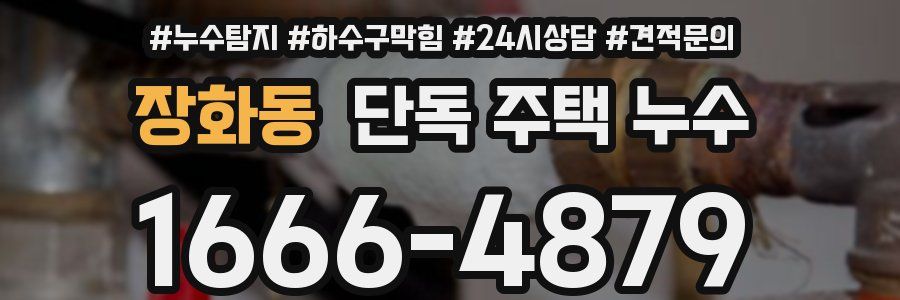 장화동 단독 주택 누수