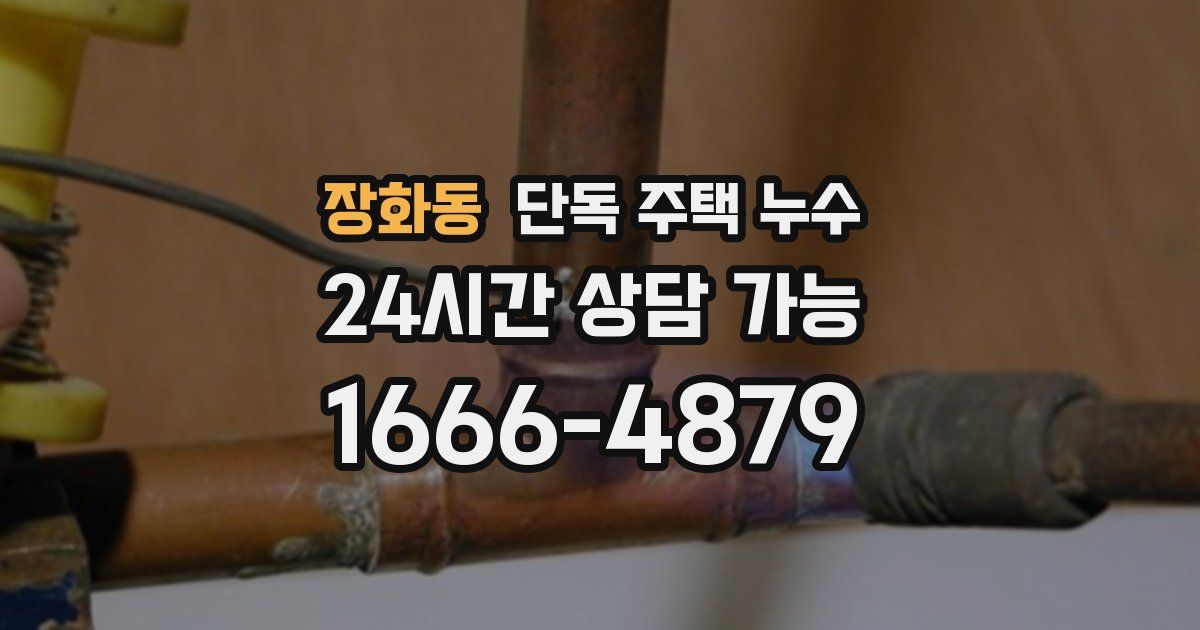 장화동 단독 주택 누수