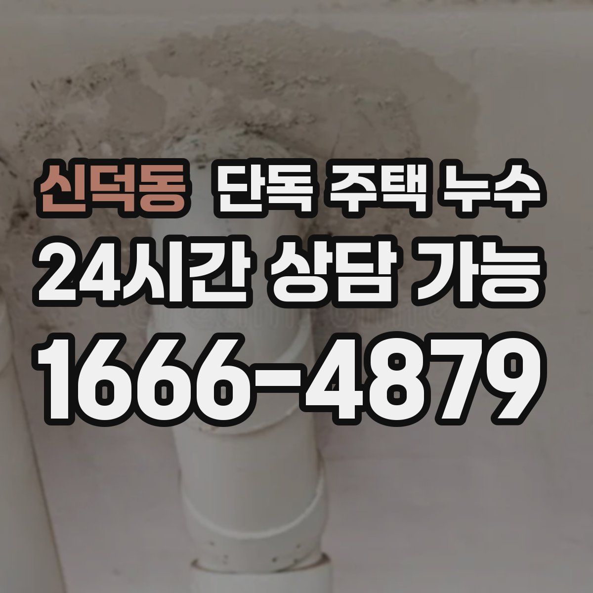 신덕동 단독 주택 누수