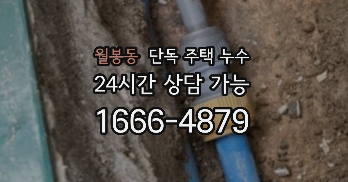 월봉동 단독 주택 누수