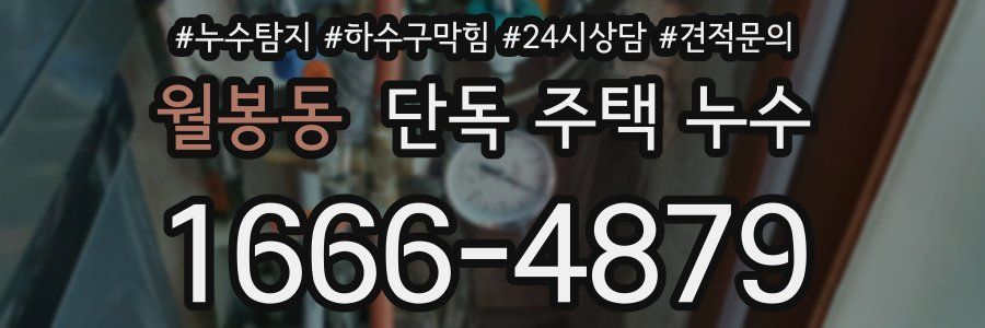 월봉동 단독 주택 누수