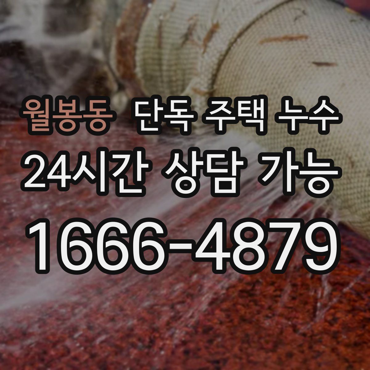 월봉동 단독 주택 누수