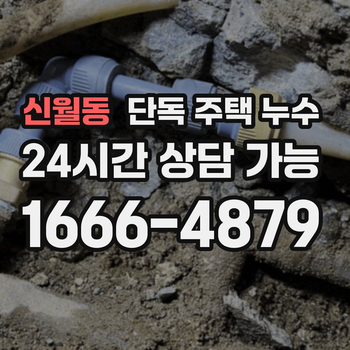 신월동 단독 주택 누수