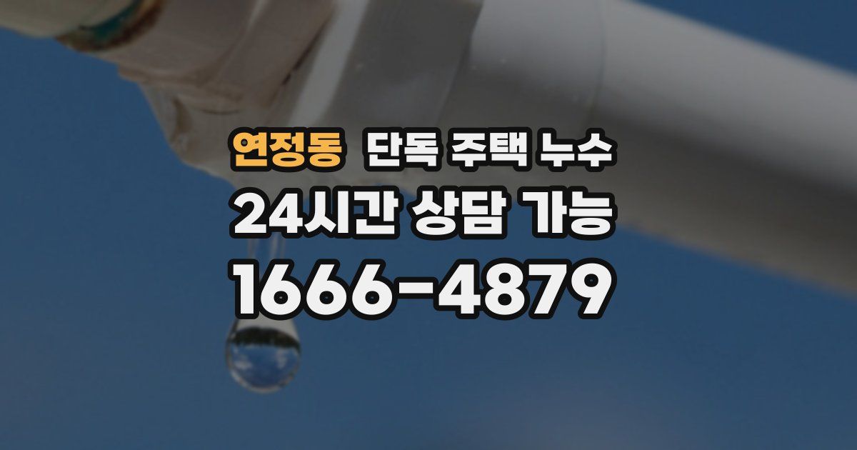 연정동 단독 주택 누수