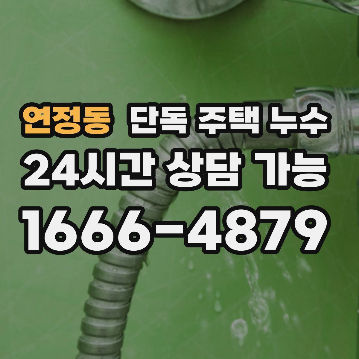 연정동 단독 주택 누수