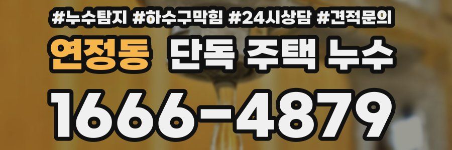 연정동 단독 주택 누수