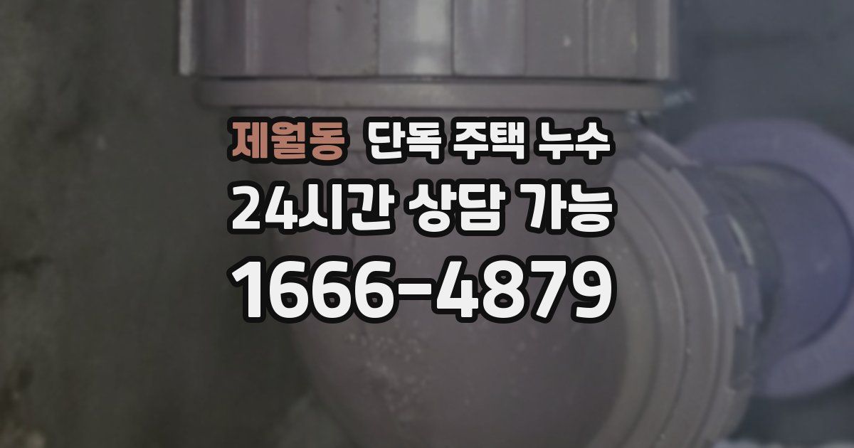 제월동 단독 주택 누수