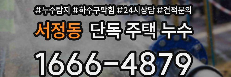 서정동 단독 주택 누수