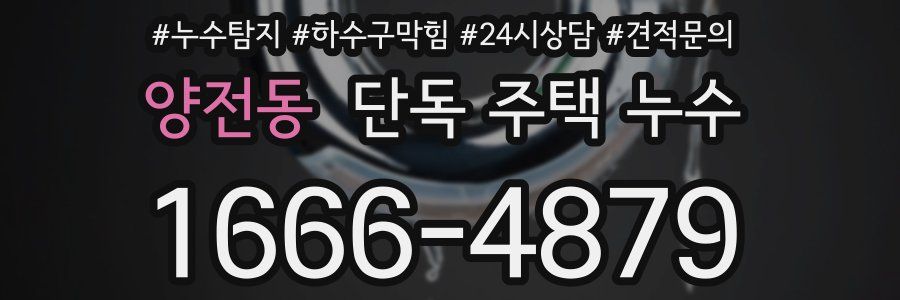 양전동 단독 주택 누수