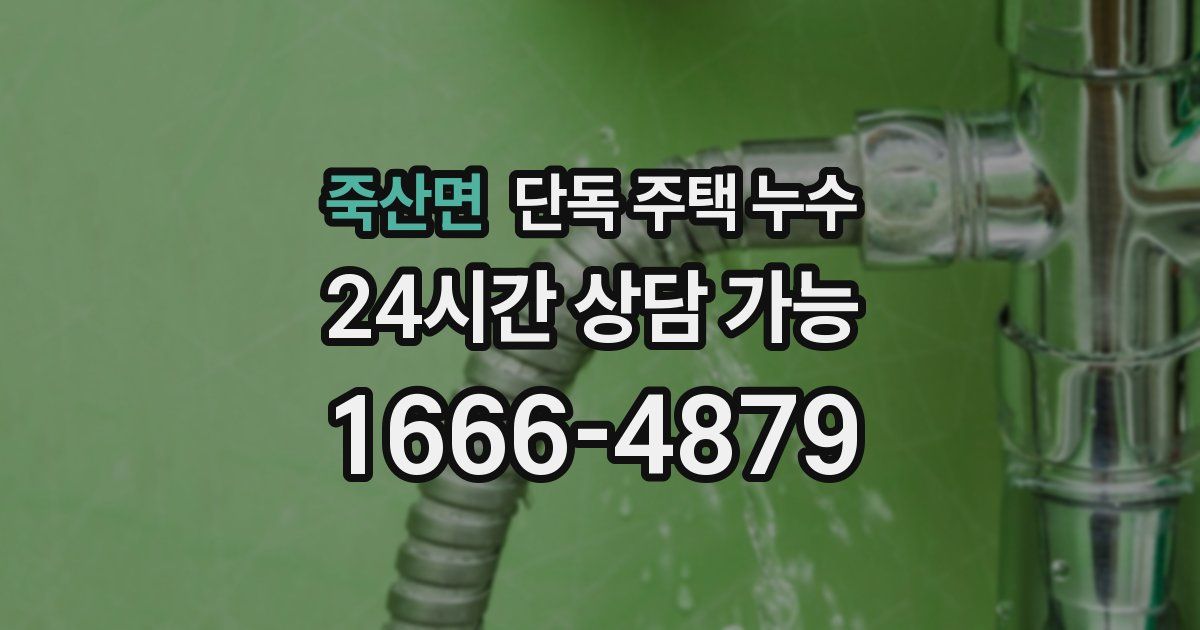 죽산면 단독 주택 누수