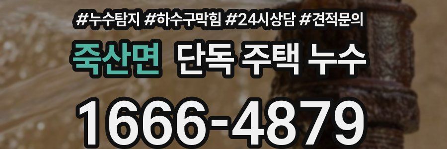 죽산면 단독 주택 누수